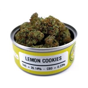 Space Monkey Lemon Cookies