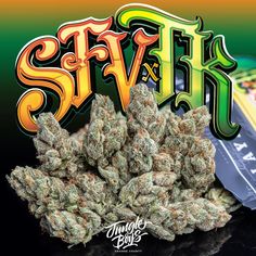 Jungle Boys SFVxTK 1 3b9969c1d45f72da230f00d16952a63a 1