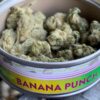 Banana Punch SmartBud