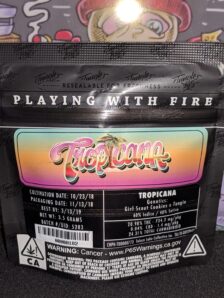 Jungle Boys Tropicana 1 IMG 20181119 165626 1095x1460 1 1