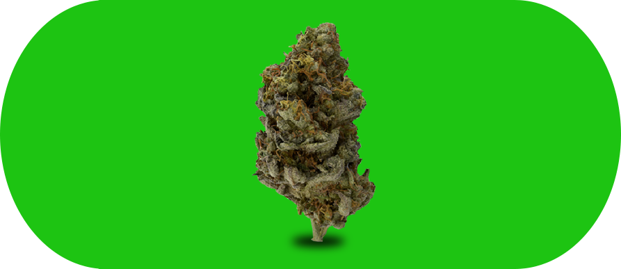 buy weed online