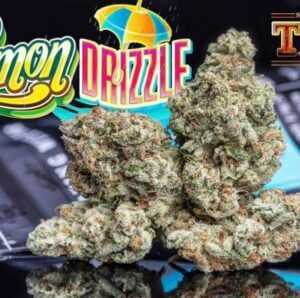 Jungle Boys Lemon Drizzle