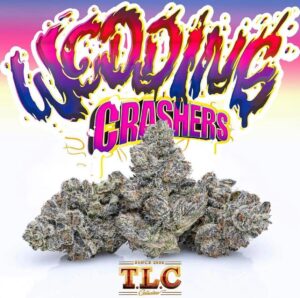 Jungle Boys Wedding Crashers