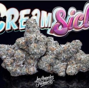 Jungle Boys Creamsicle