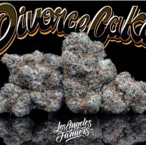 Jungle Boys Divorce Cake