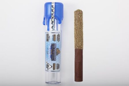 DTLA packwoods 1 dtla 1