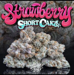 Jungle Boys Strawberry Shortcake