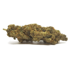 Medibud Strain 1 medi 1