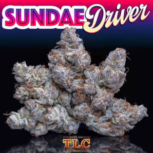 Jungle Boys Sundae Driver