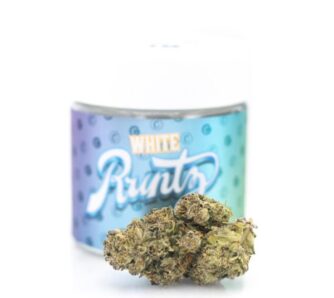 White Runtz 1 white runtz 1 1