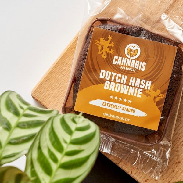 Dutch Hash Brownie 2 Cannabis Bakehouse 27485 V1