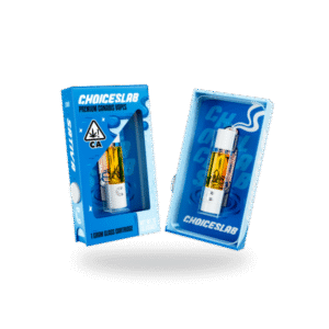 ChoicesLab Blueberry Pancakes 1g