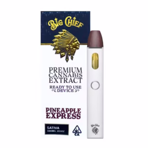 Big Chief Pineapple Express 1g